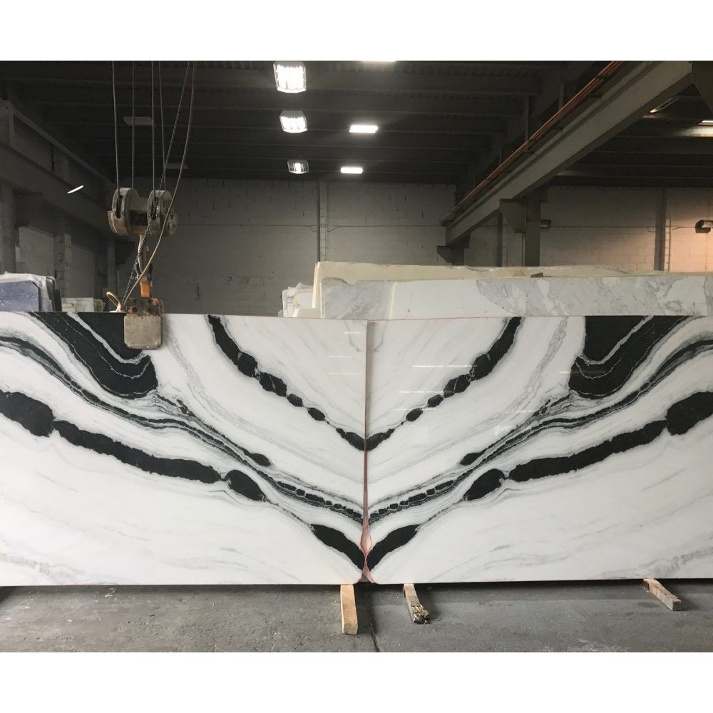 PD2-1000x1000